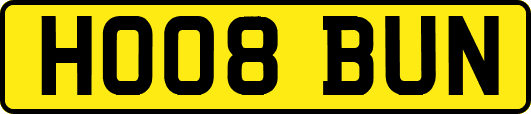 HO08BUN