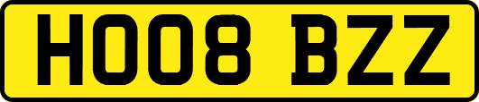 HO08BZZ
