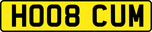 HO08CUM