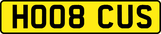 HO08CUS