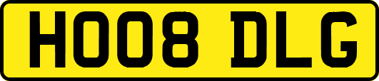 HO08DLG