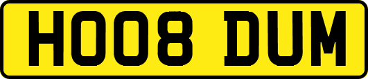 HO08DUM
