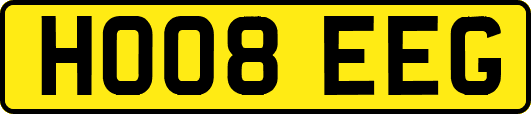 HO08EEG