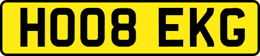 HO08EKG