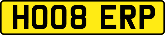 HO08ERP