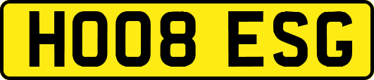 HO08ESG
