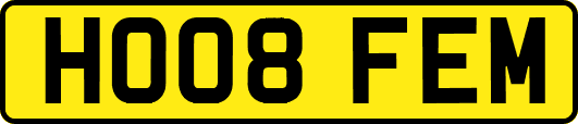 HO08FEM