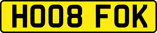 HO08FOK