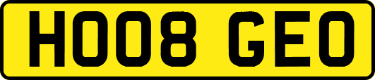 HO08GEO