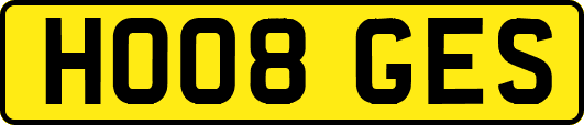 HO08GES