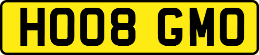 HO08GMO