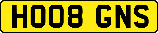 HO08GNS
