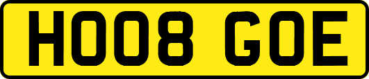 HO08GOE