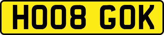 HO08GOK