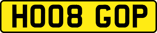 HO08GOP
