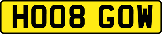 HO08GOW