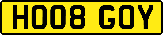 HO08GOY
