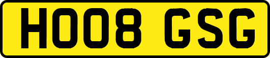 HO08GSG