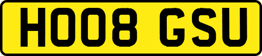 HO08GSU