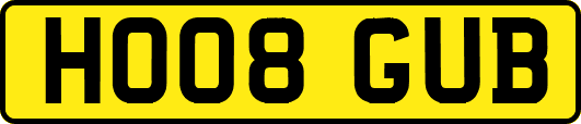 HO08GUB