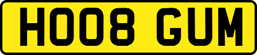 HO08GUM