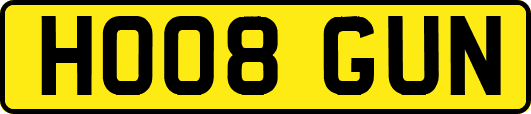 HO08GUN