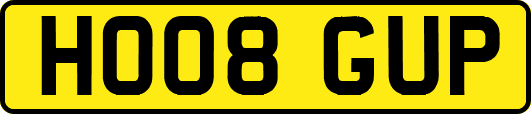 HO08GUP