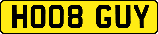 HO08GUY