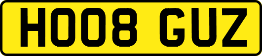 HO08GUZ