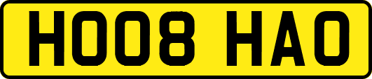 HO08HAO