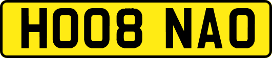 HO08NAO