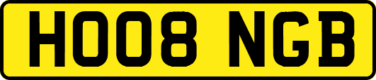 HO08NGB