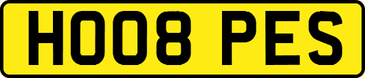 HO08PES