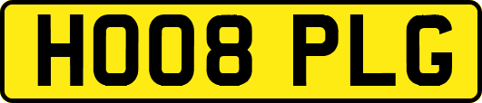 HO08PLG