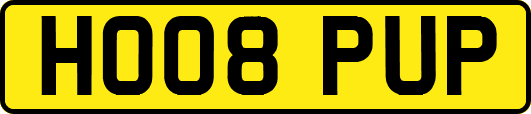 HO08PUP