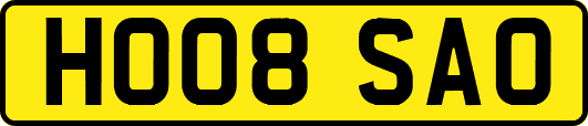 HO08SAO