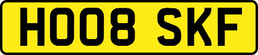 HO08SKF