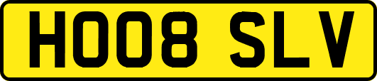 HO08SLV