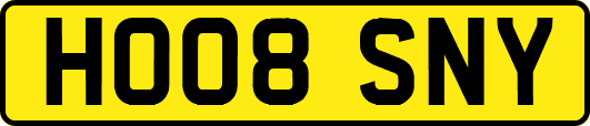 HO08SNY