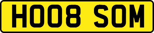 HO08SOM