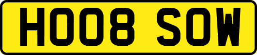 HO08SOW