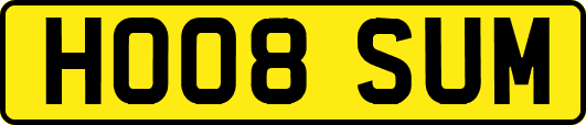 HO08SUM