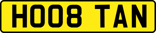HO08TAN