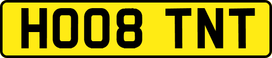 HO08TNT