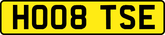 HO08TSE