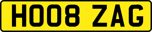 HO08ZAG
