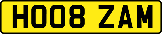 HO08ZAM