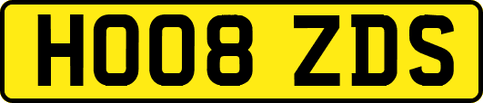 HO08ZDS