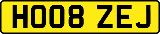 HO08ZEJ