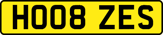 HO08ZES